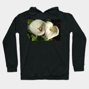 Perfectly Pure and Majestic Easter Calla Lily Hoodie